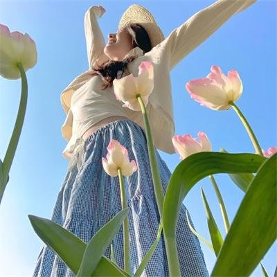 帕里 海报